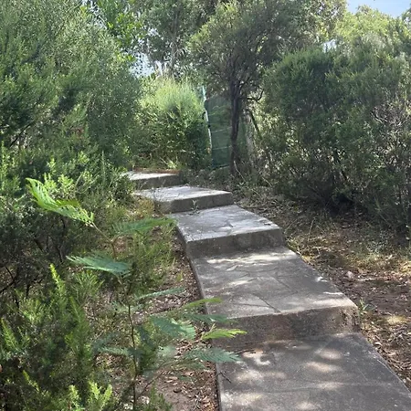 Villa Maison 120m2, 3ch, Piscine, Terrain Arboré, Vue La Londe-les-Maures
